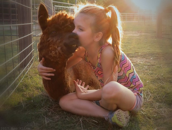 Our alpacas are so KISSABLE!