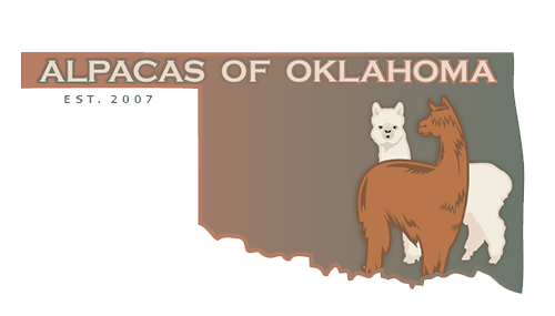 Logo for Alpacas of Oklahoma