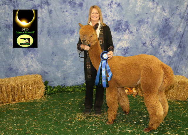 Legendary Beau wins ribbons!