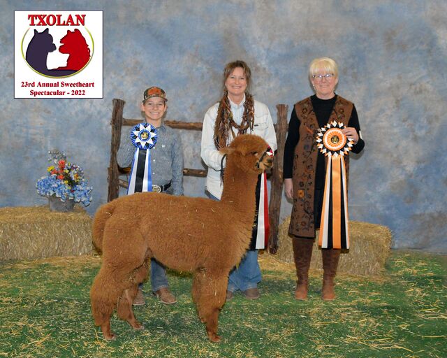 Legendary Salvation winning more ribbons!
