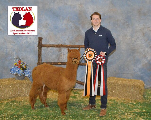 Legendary Salvation wins even more ribbons again!
