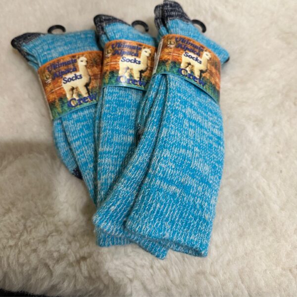 The Alpaca Guy Crew Sock - Turquoise