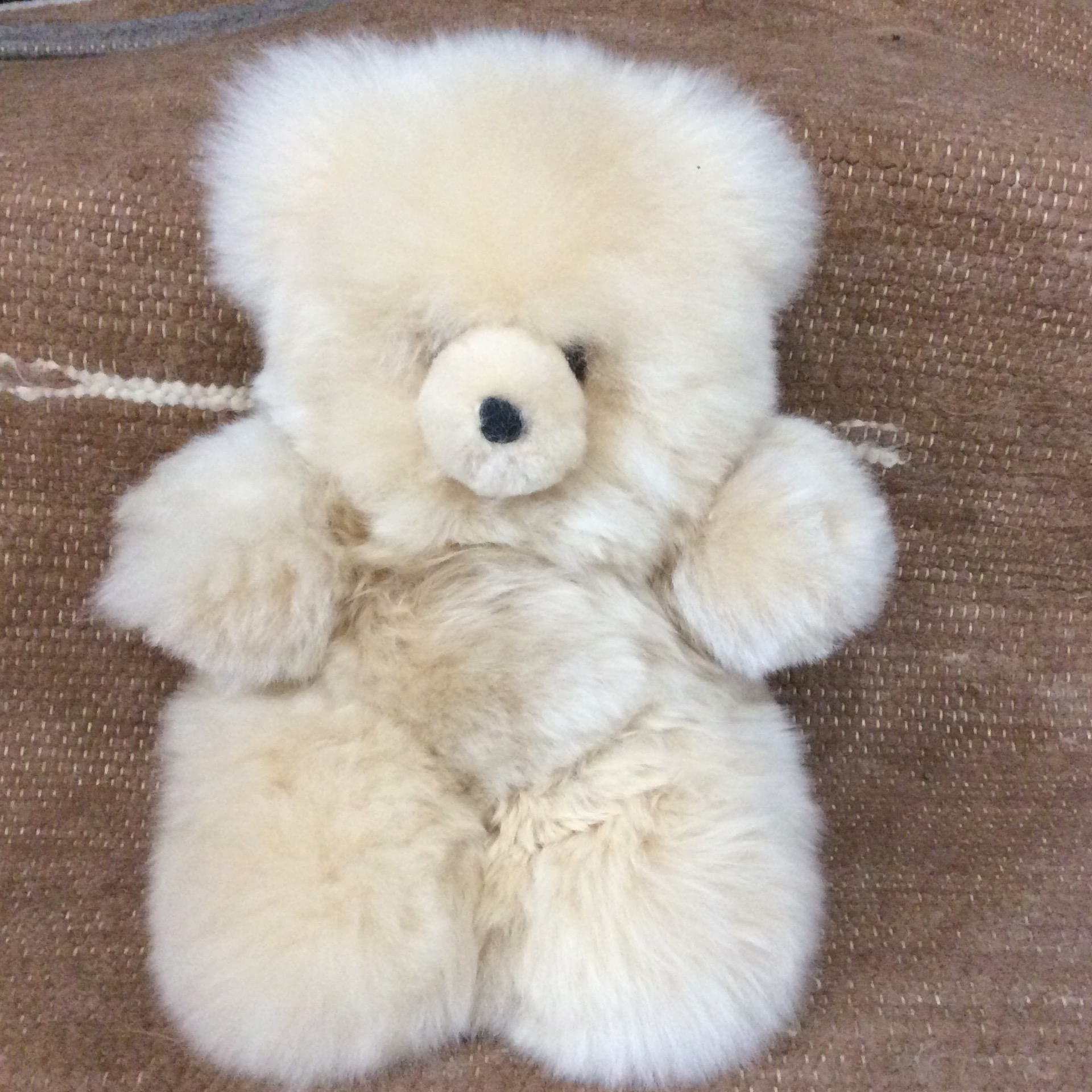 alpaca teddy bear beige