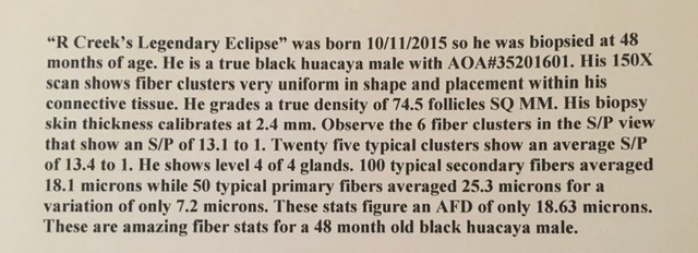 Featured article about R Creek's Legendary Eclipse!