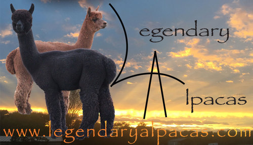 R Creek's Legendary Eclipse is one of our mascots!