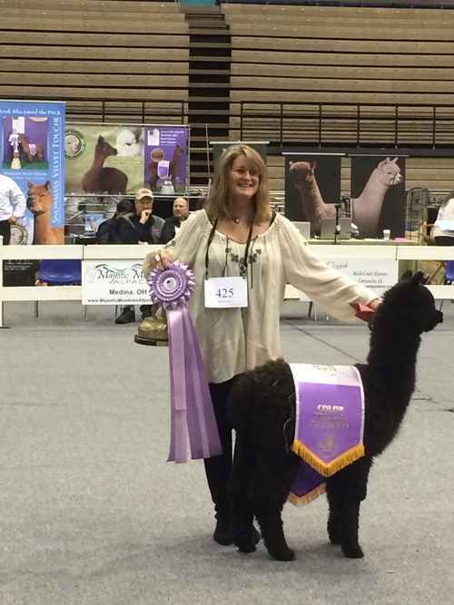 R Creek's Legendary Eclipse racks up Championships!