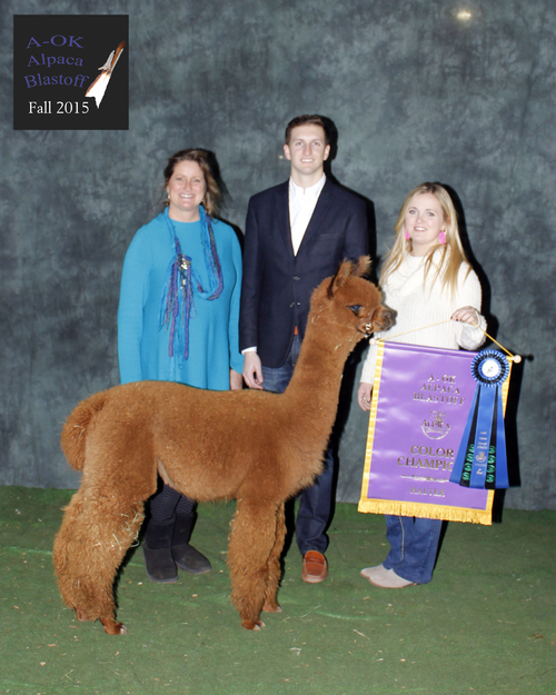 R Creek's Royalty Rising wins shows!