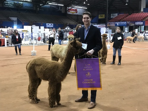 R Creek's Royalty Rising wins ribbons!