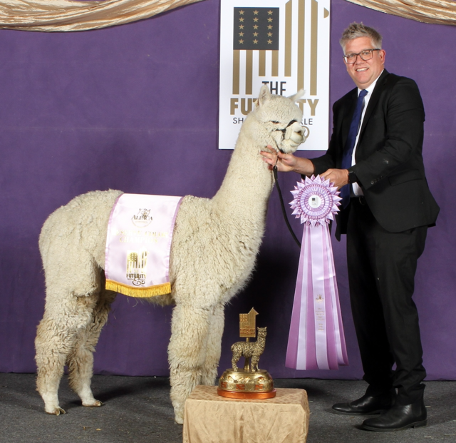 TAG Center Fold winning a ribbon!