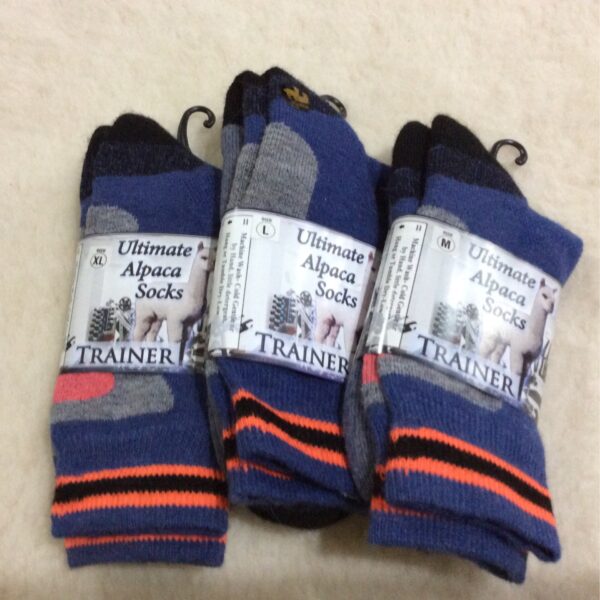The Alpaca Guy Trainer Crew Sock - Blue/Neon Orange