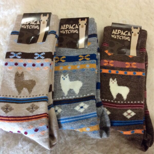 CA Alpaca Watching Sock