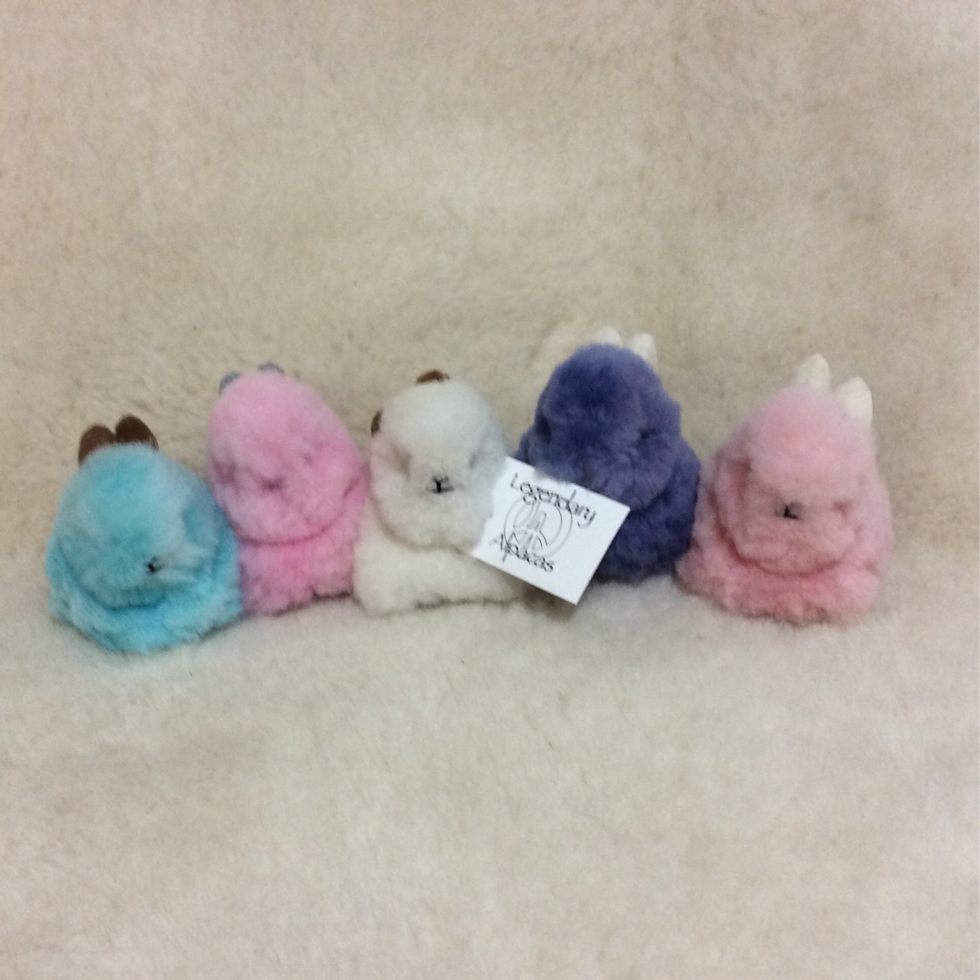 Colorful plush bunny toys lined up pink, purple, white, blue