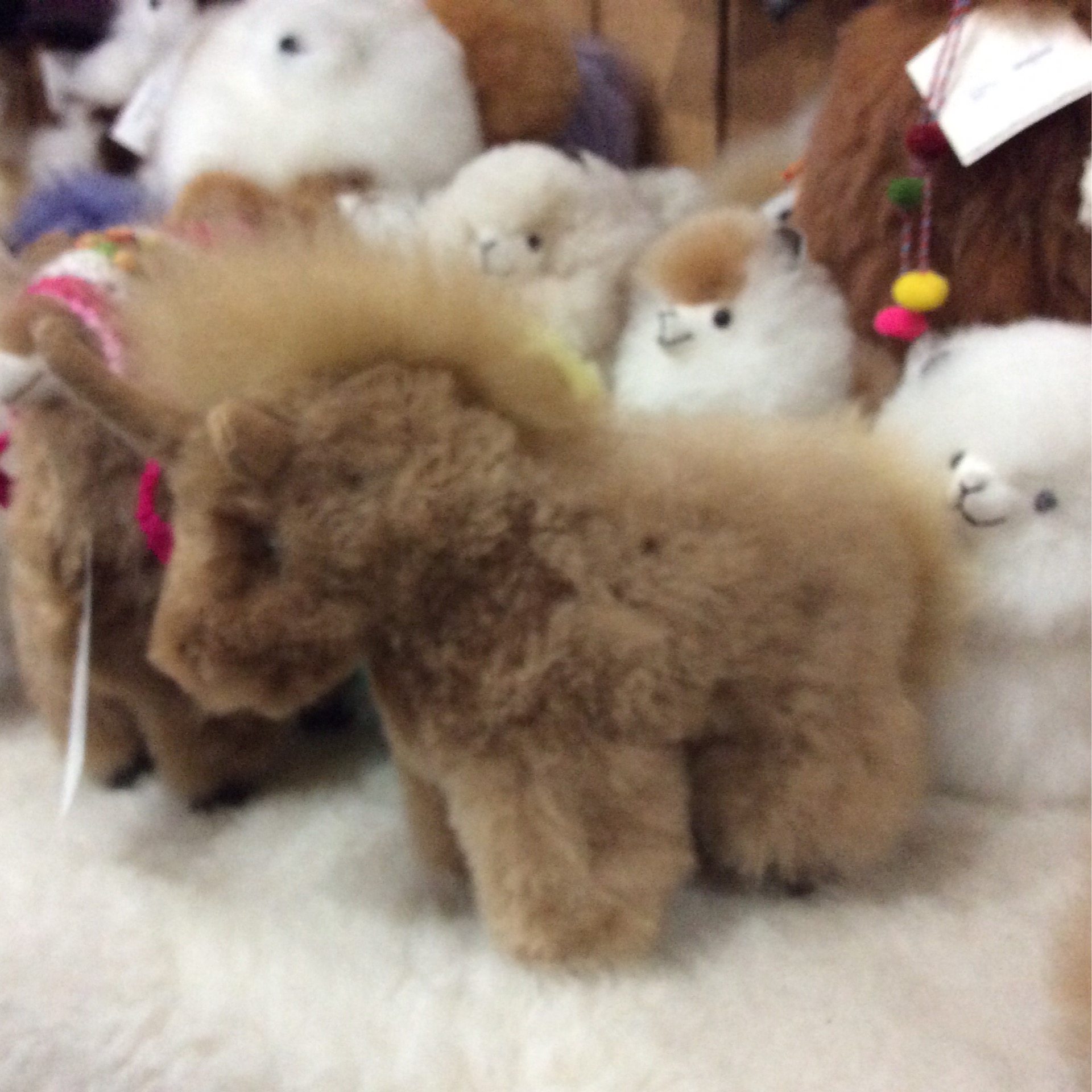 Alpaca Unicorn brown