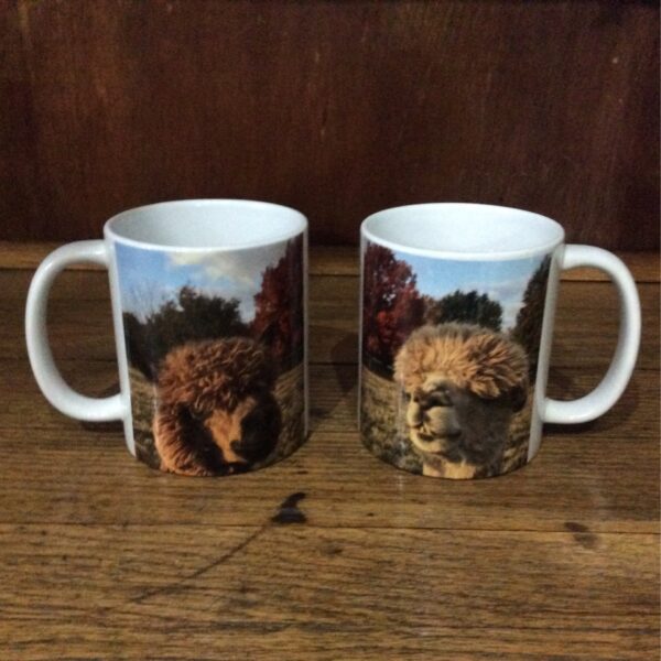 alpaca mug
