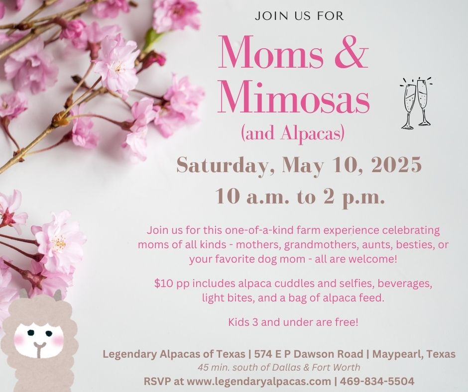 Moms & Mimosas