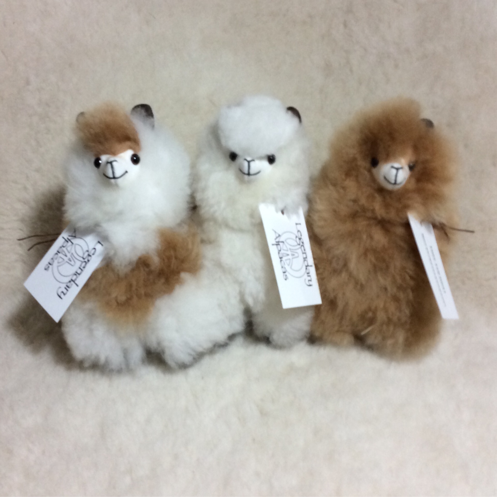 alpaca toy fawn and white