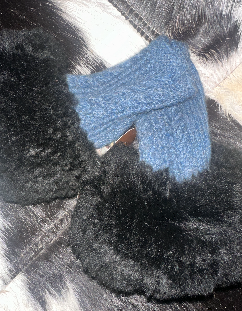 alpaca fingers ess gloves blue with black fur