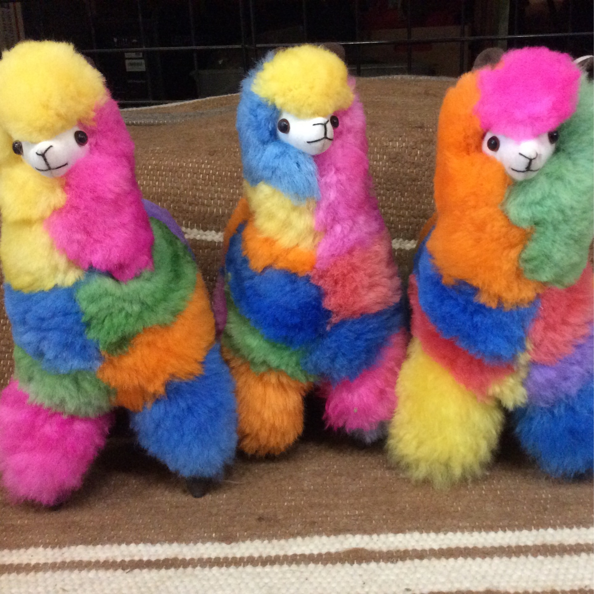 alpaca stuffy multi color