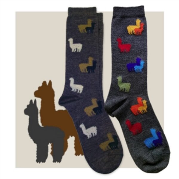 alpaca crew socks with alpacas on them